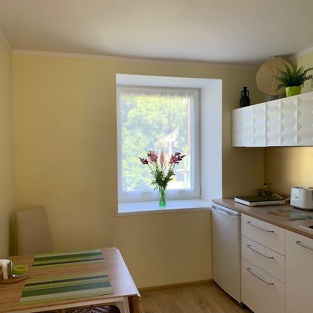 Excelent Apartment With Garden And Free Parking Riga Exterior photo