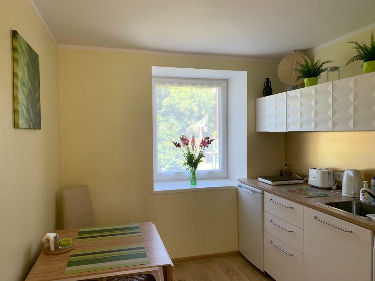 Excelent Apartment With Garden And Free Parking Riga Exterior photo